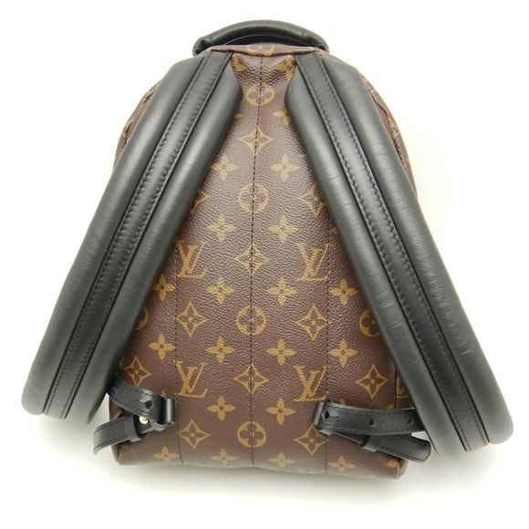 Louis Vuitton Monogram Palm Springs Backpack PM Brown Rucksack - Picture 2 of 6